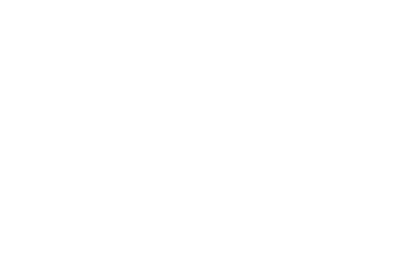 CH_TopBrand_Logo_weiss_l